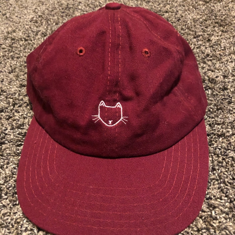 Cat baseball cap